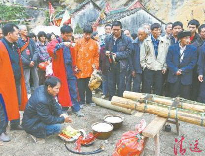 豎起刀桿之前,用活雞鴨來祭祀祈求平安。