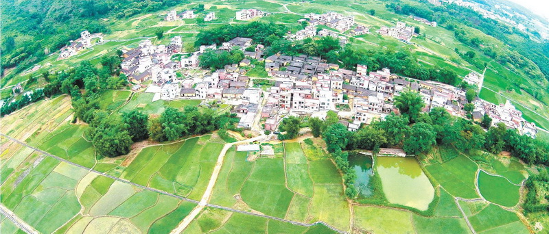 陽山縣太平鎮(zhèn)白花村中心小組,村中整合前的土地分布零散,由原來的78塊田整合成33塊田。