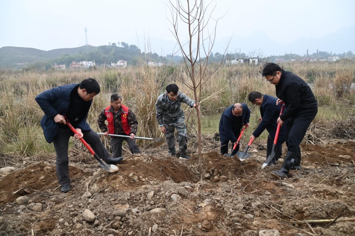 兵“林”城下 退役軍人走在綠美清遠(yuǎn)生態(tài)建設(shè)“第一方陣”，萬(wàn)株新苗筑牢粵北生態(tài)屏障