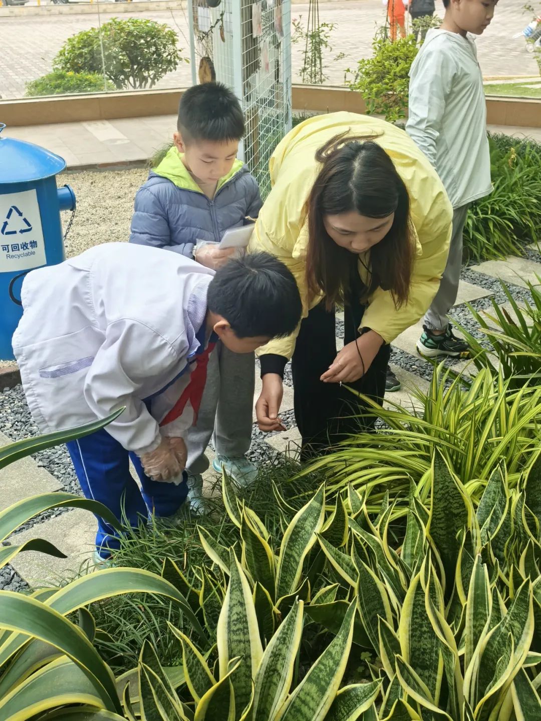圖片